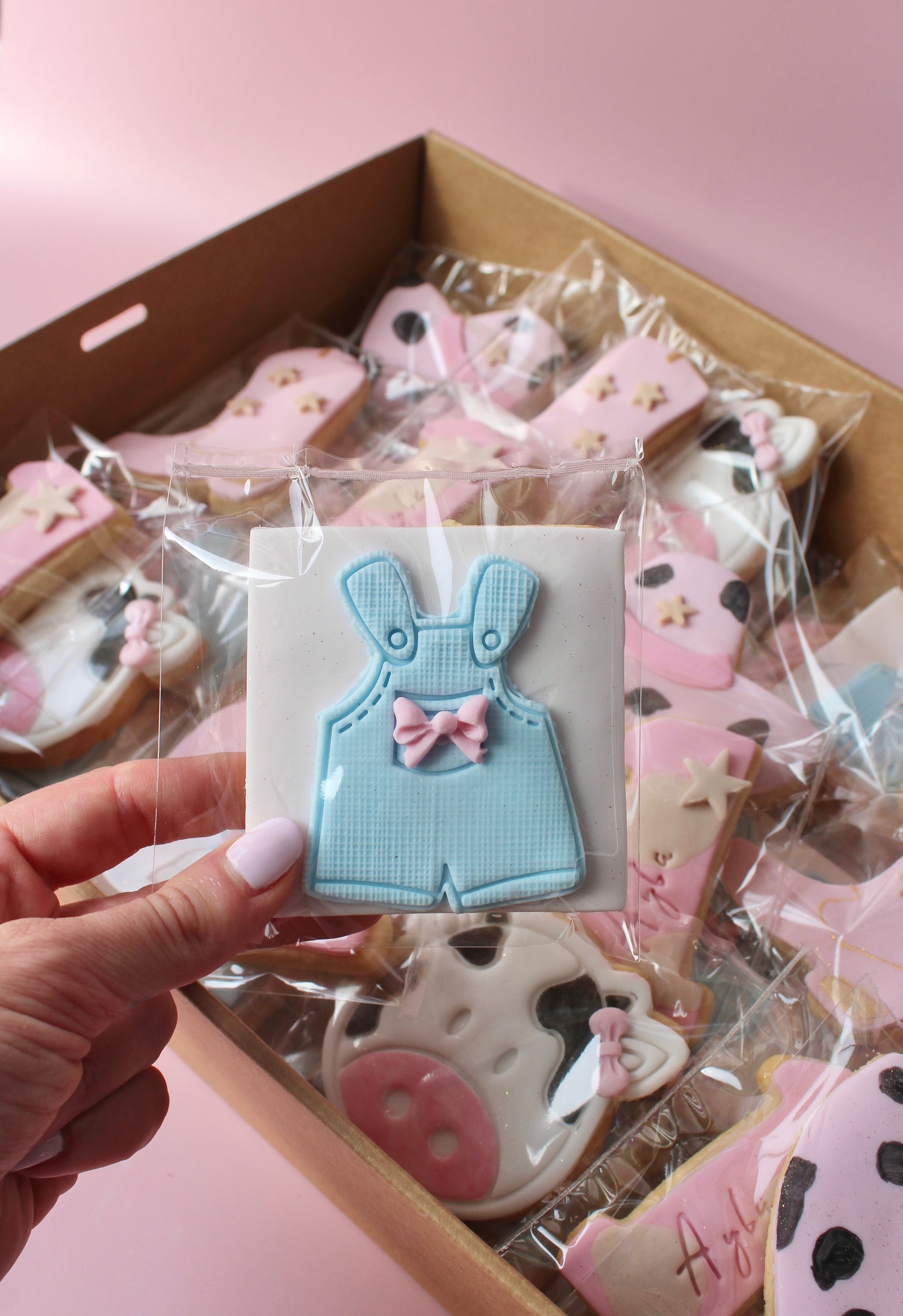 Newcastle Custom Fondant Cookies